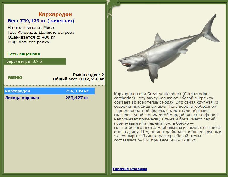 Далёкие острова 