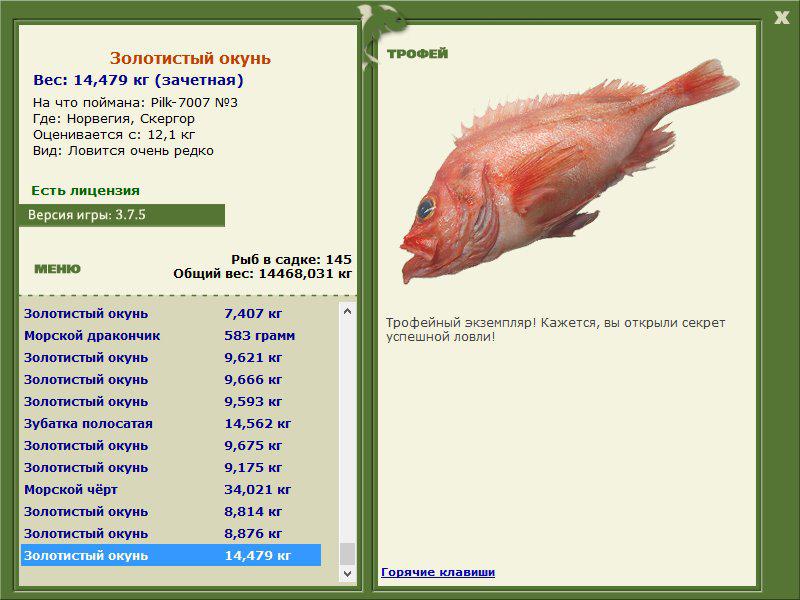 Золотистый окунь 
