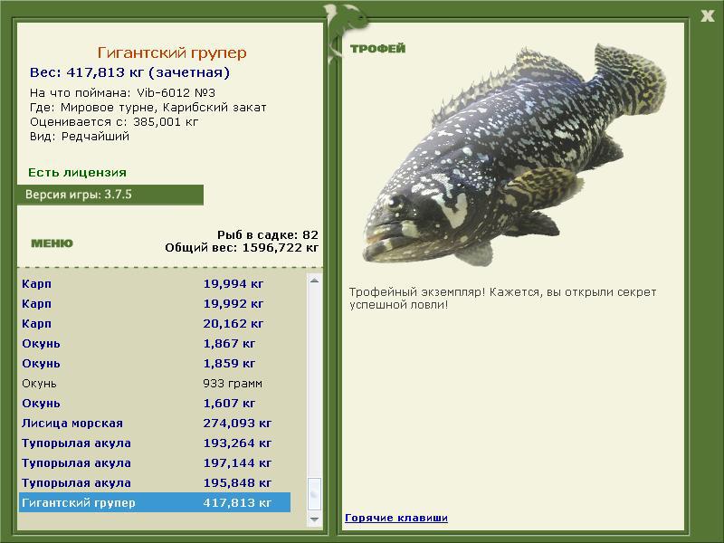 турниры • РУССКАЯ РЫБАЛКА