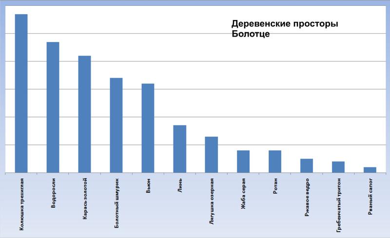 Внутриигровые турниры, боты 