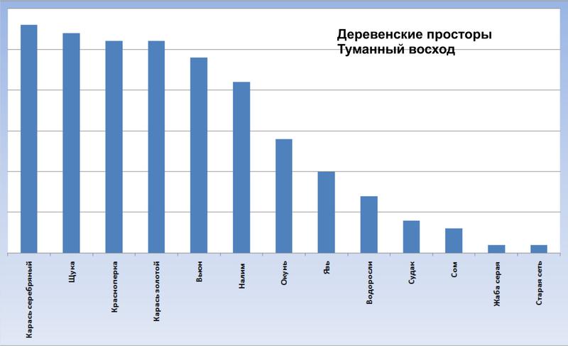 Внутриигровые турниры, боты 
