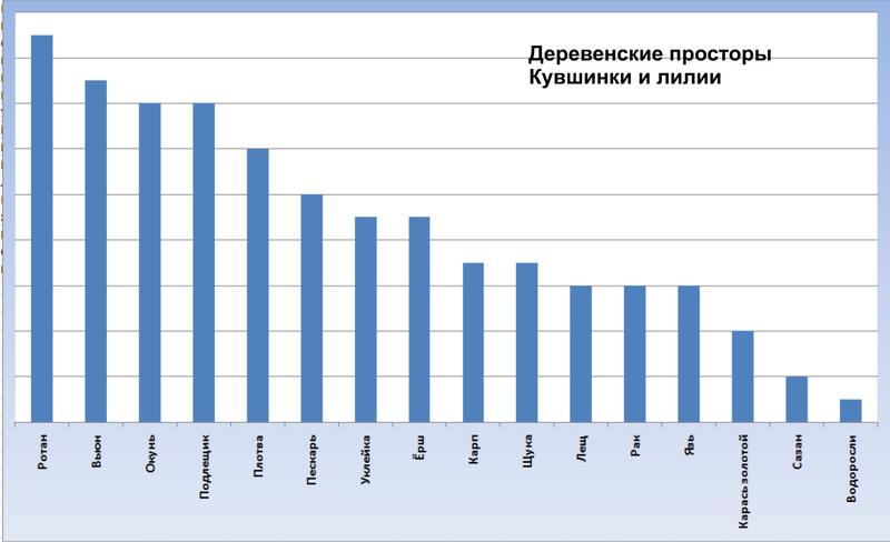 Внутриигровые турниры, боты 