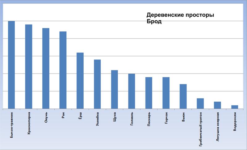 Внутриигровые турниры, боты 