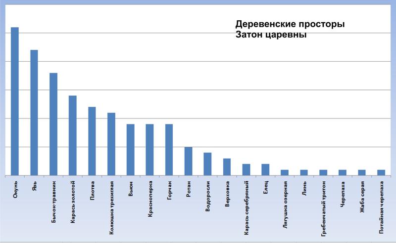 Внутриигровые турниры, боты 
