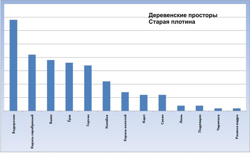 Внутриигровые турниры, боты 