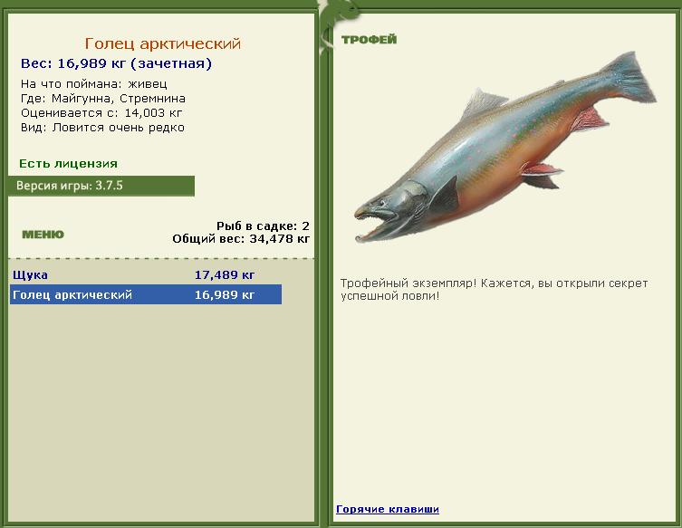 турниры • РУССКАЯ РЫБАЛКА