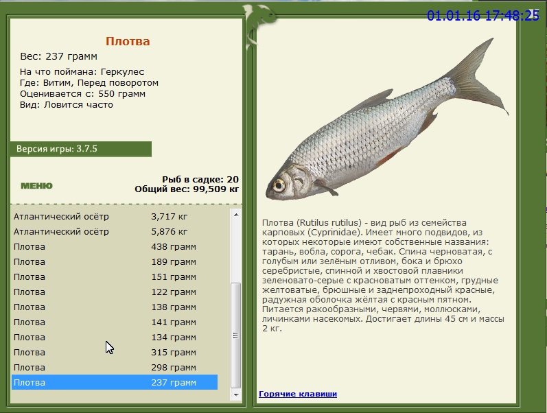 РУССКАЯ РЫБАЛКА Installsoft Edition 
