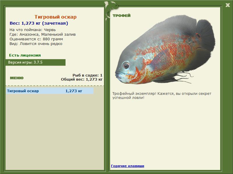 Тигровый оскар 