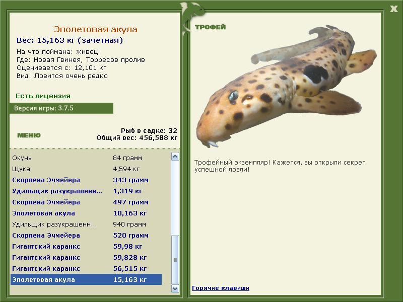 Эполетовая акула 