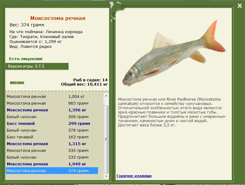 Кленовый залив 
