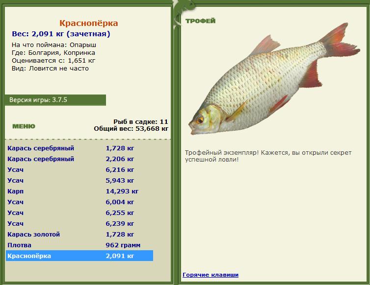турниры • РУССКАЯ РЫБАЛКА