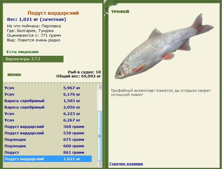 турниры • РУССКАЯ РЫБАЛКА