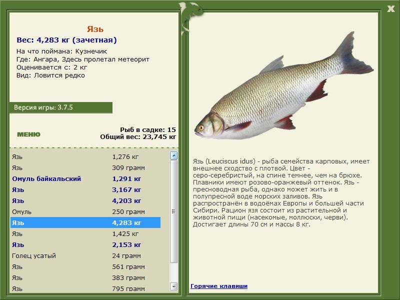 РУССКАЯ РЫБАЛКА Installsoft Edition 