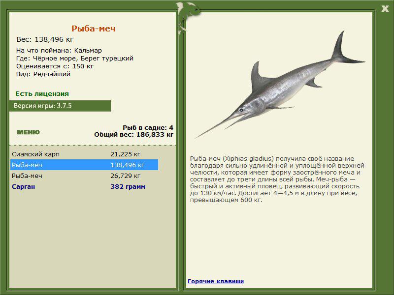 Берег турецкий 