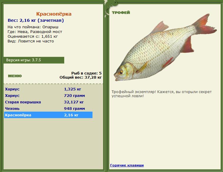 турниры • РУССКАЯ РЫБАЛКА