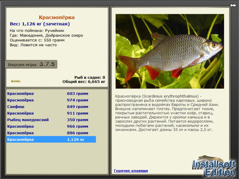 турниры • РУССКАЯ РЫБАЛКА