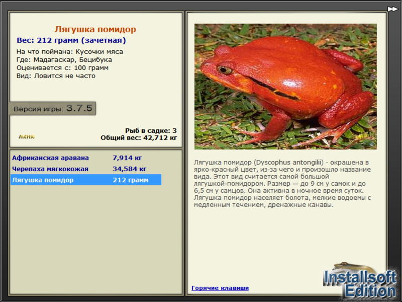 Бецибука 