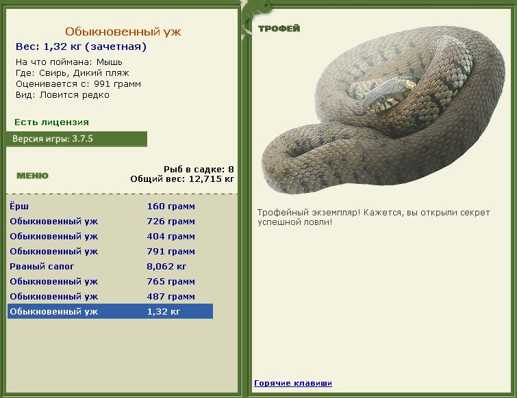 Обыкновенный уж 