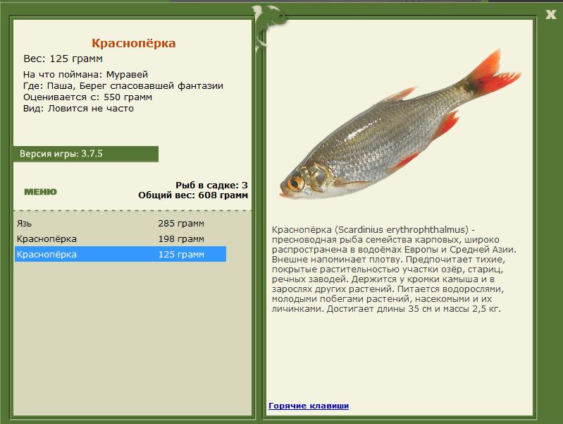 РУССКАЯ РЫБАЛКА Installsoft Edition 