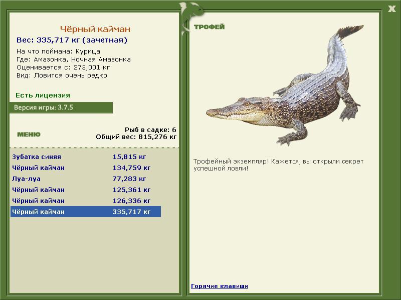 Чёрный кайман 