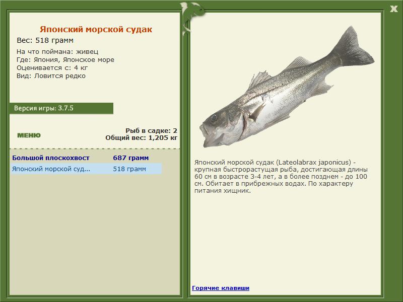 Японское море 