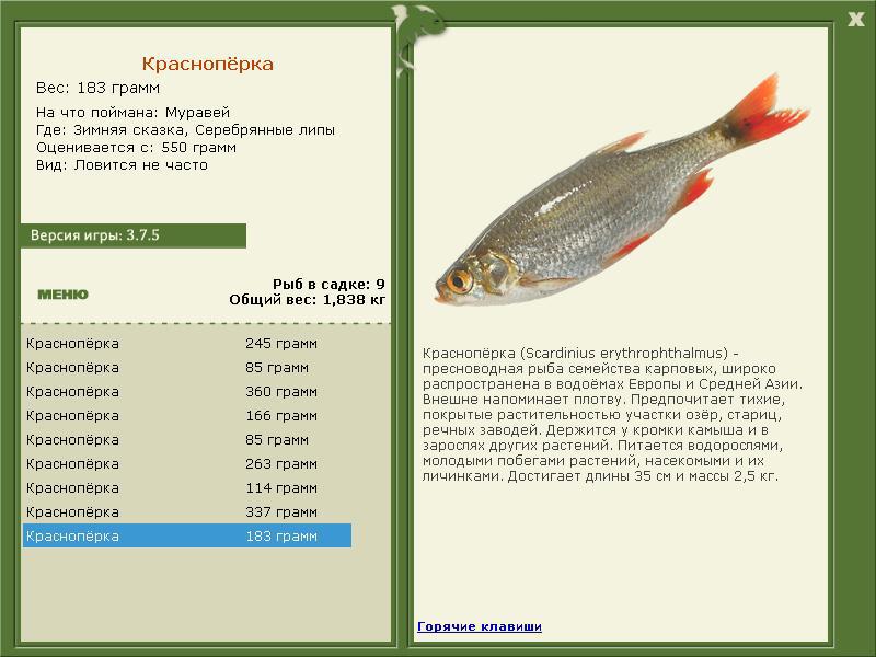 турниры • РУССКАЯ РЫБАЛКА