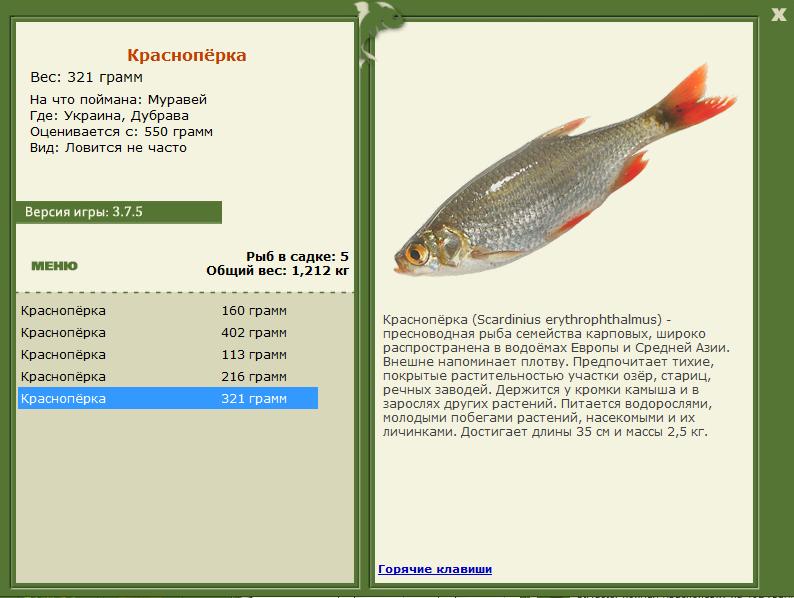РУССКАЯ РЫБАЛКА Installsoft Edition 