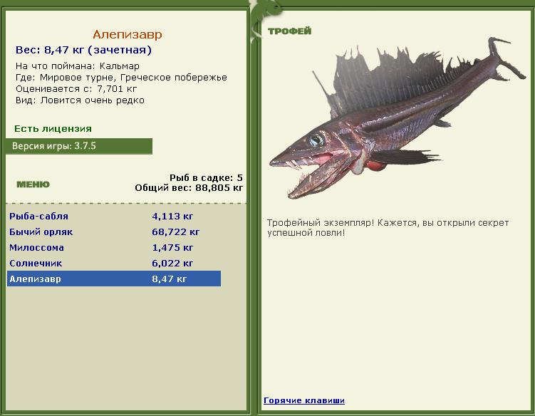 турниры • РУССКАЯ РЫБАЛКА