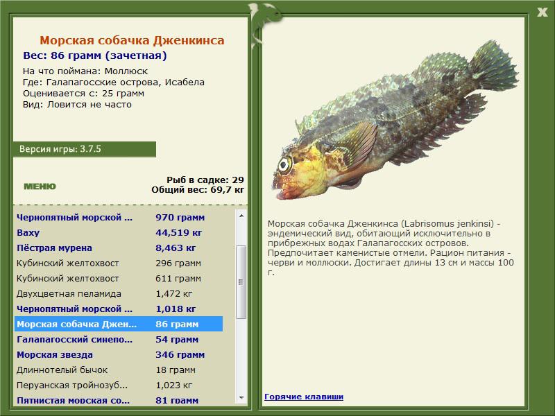 РУССКАЯ РЫБАЛКА Installsoft Edition 