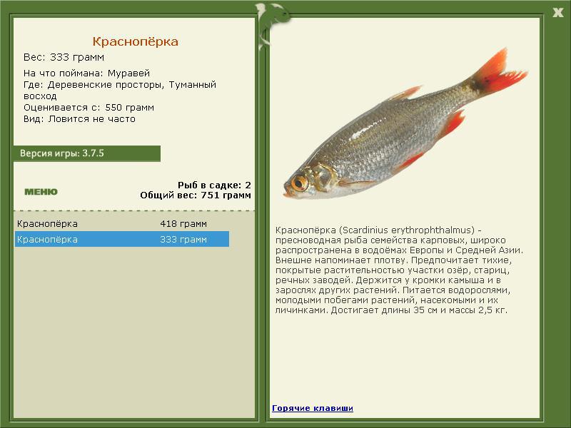 турниры • РУССКАЯ РЫБАЛКА