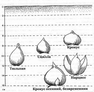 Схема и глубина посадки