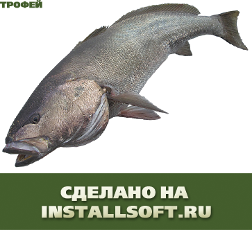 Свой дизайн для Русской Рыбалки 