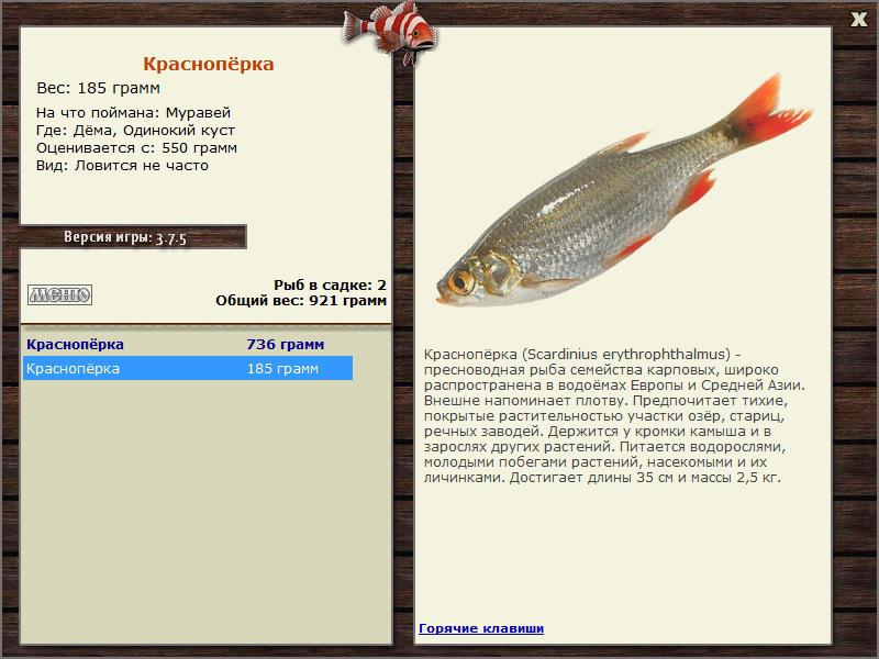 турниры • РУССКАЯ РЫБАЛКА