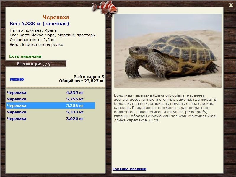 Морские просторы 