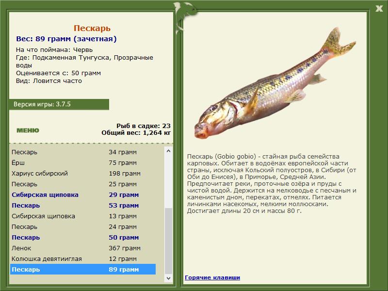 Прозрачные воды 