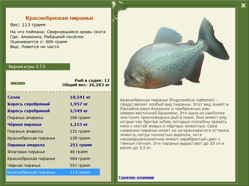 РУССКАЯ РЫБАЛКА Installsoft Edition 