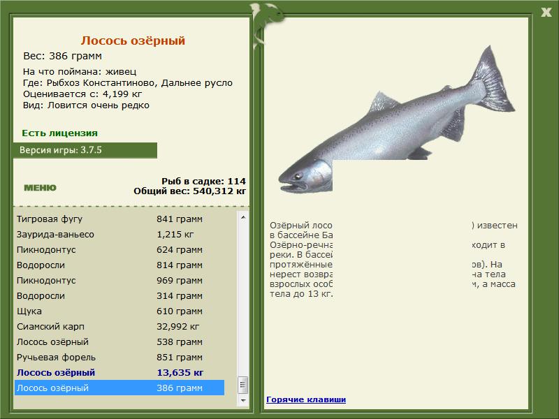 РУССКАЯ РЫБАЛКА Installsoft Edition 