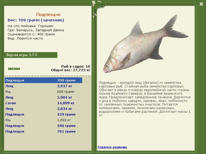 Западная Двина 