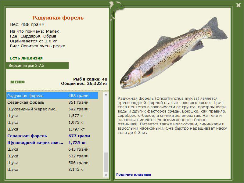 Сырдарья 
