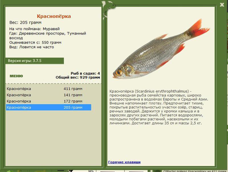 РУССКАЯ РЫБАЛКА Installsoft Edition 