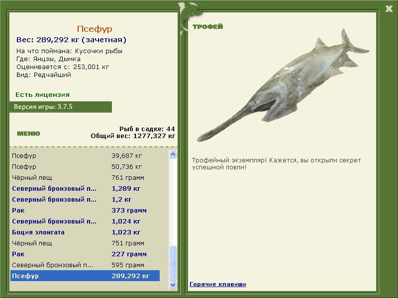 Псефур 