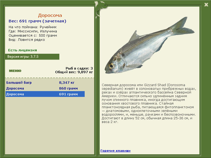 РУССКАЯ РЫБАЛКА Installsoft Edition 