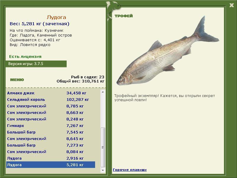 Лудога 
