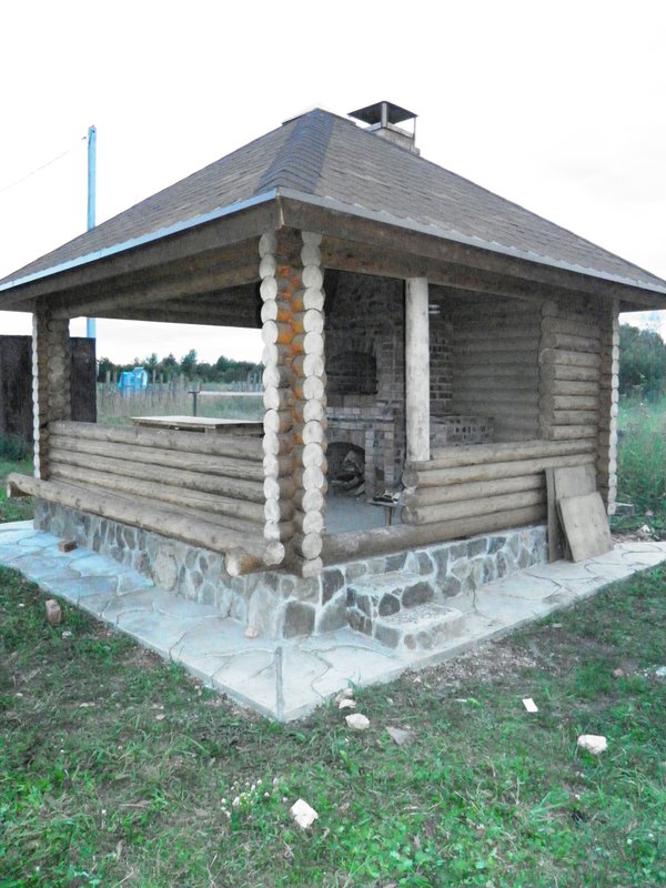  Колли в Жемчужине Кузбасса (г.Прокопьевск)