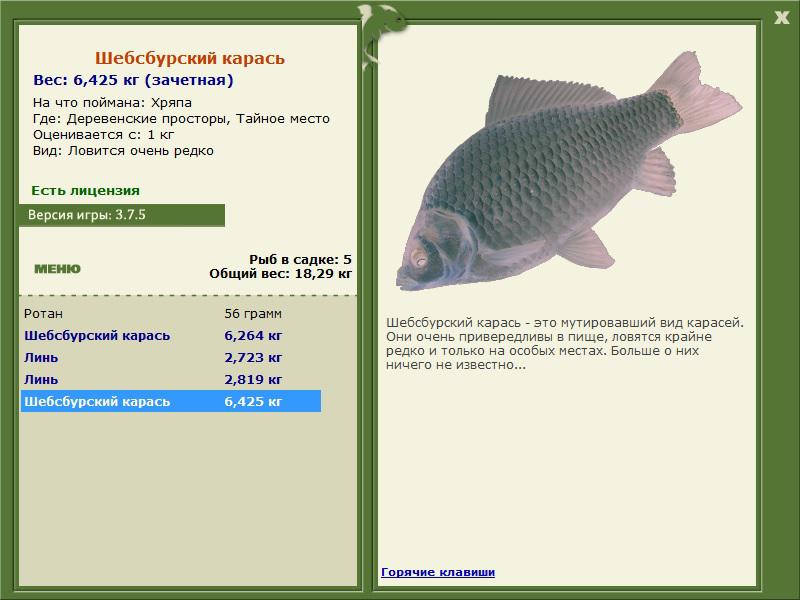 Шебсбурский карась 