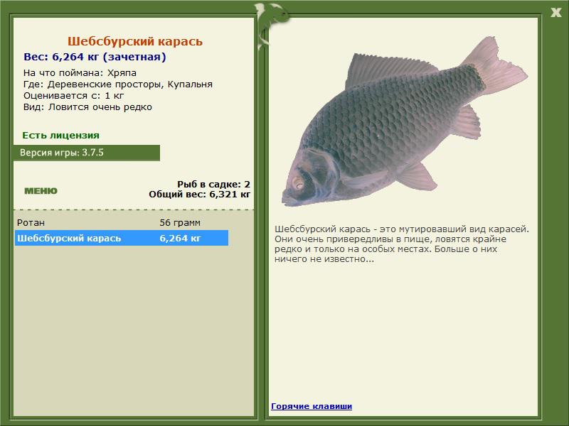 Купальня 