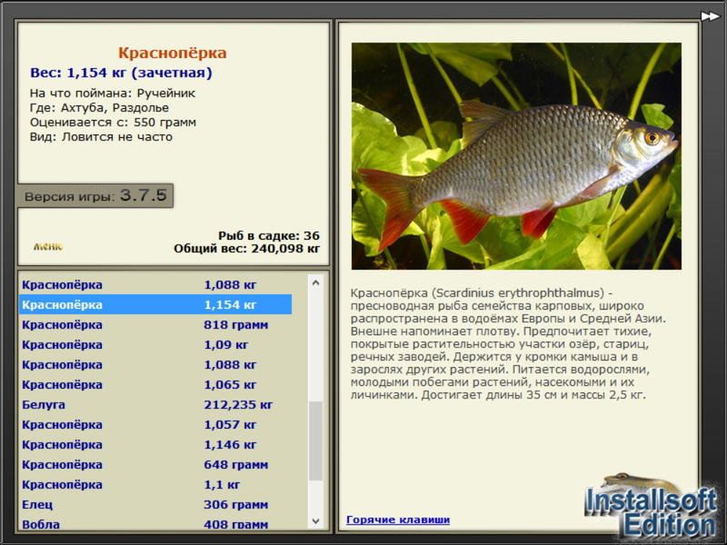 Раздолье 
