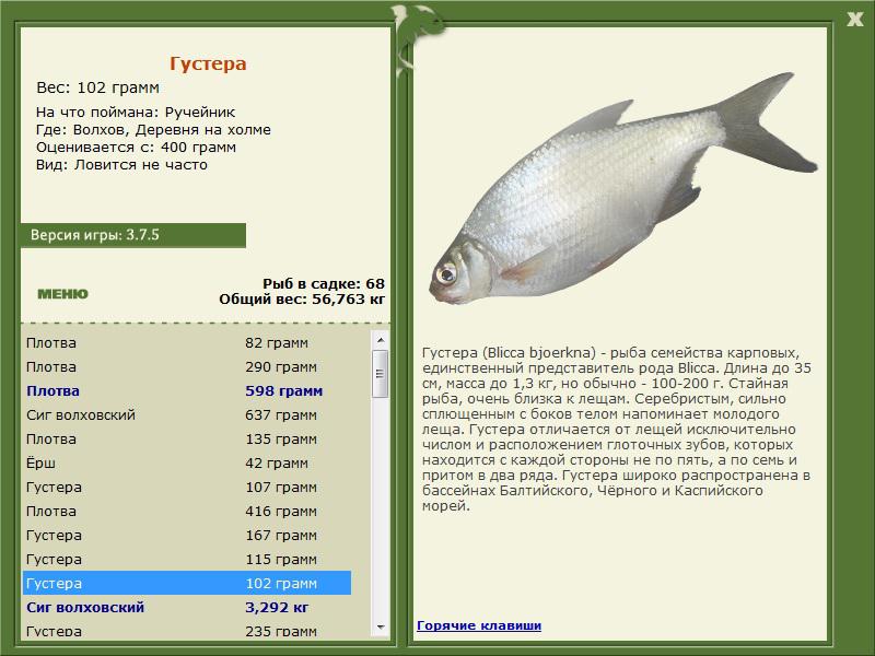 турниры • РУССКАЯ РЫБАЛКА