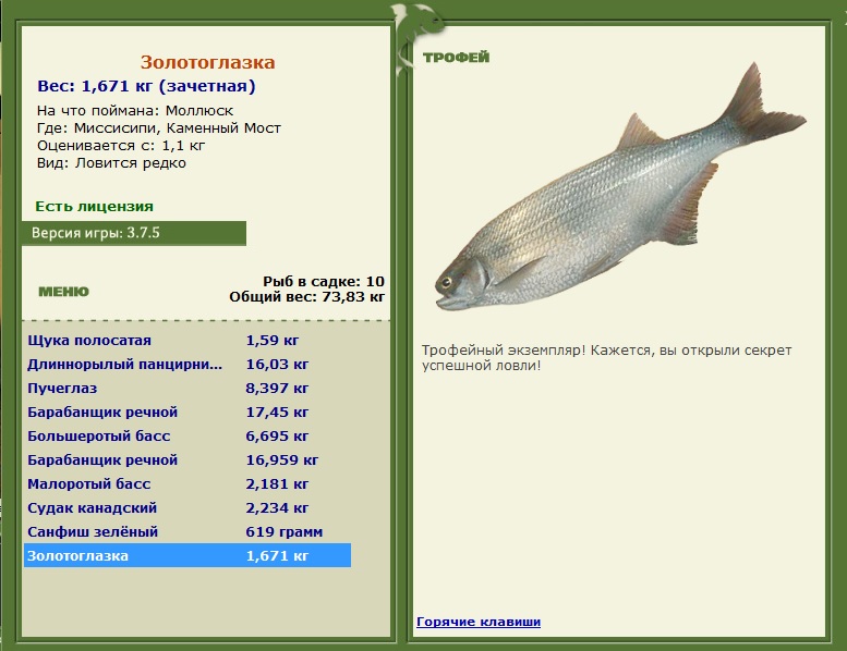 Золотоглазка 