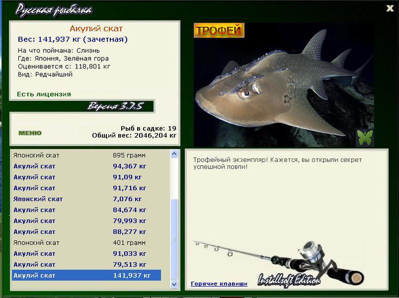 Акулий скат 